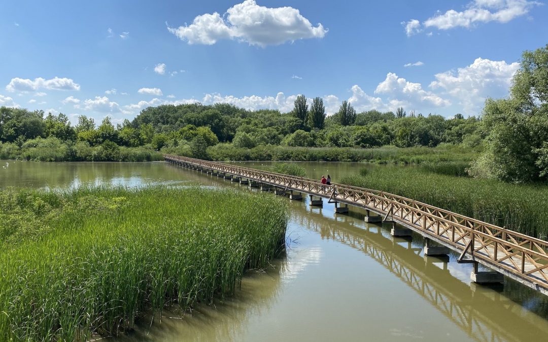 Kis-Tisza