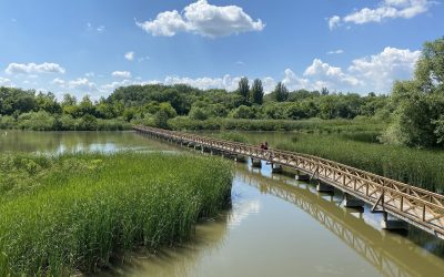 Kis-Tisza Ökocentrum Látogatóközpont