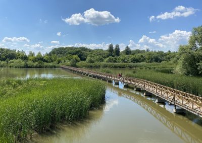 Kis-Tisza