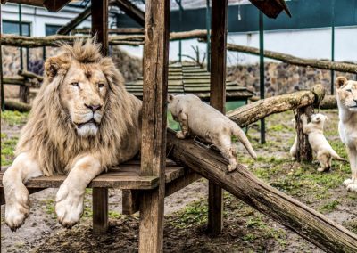 Nyíregyháza Állatpark és Óceánárium